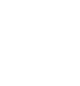 efficiency-icon